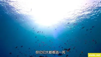 宝宝坐上来自己动好不好网站剧照3